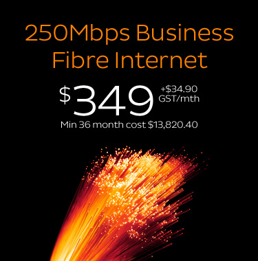 iiBiz_Fibre250_Product_mobile.jpg