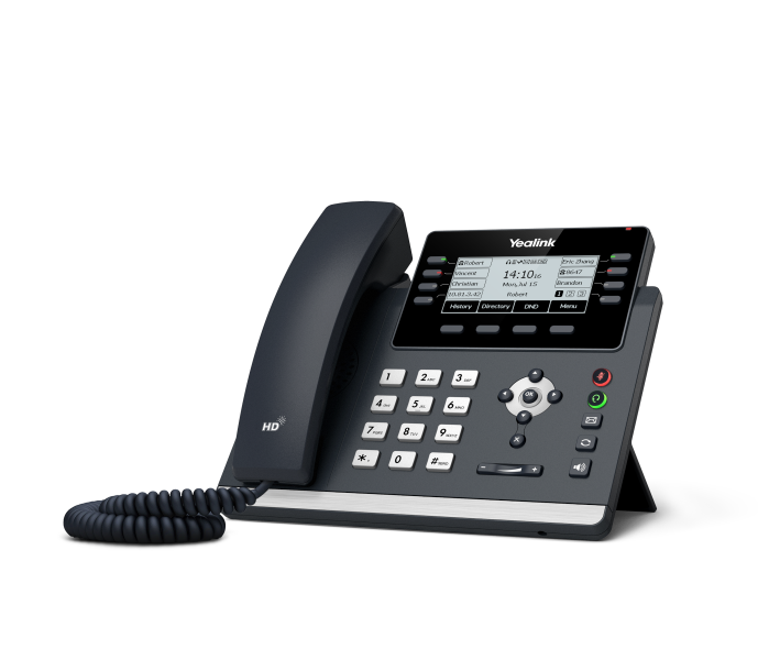 Bizphone T43U